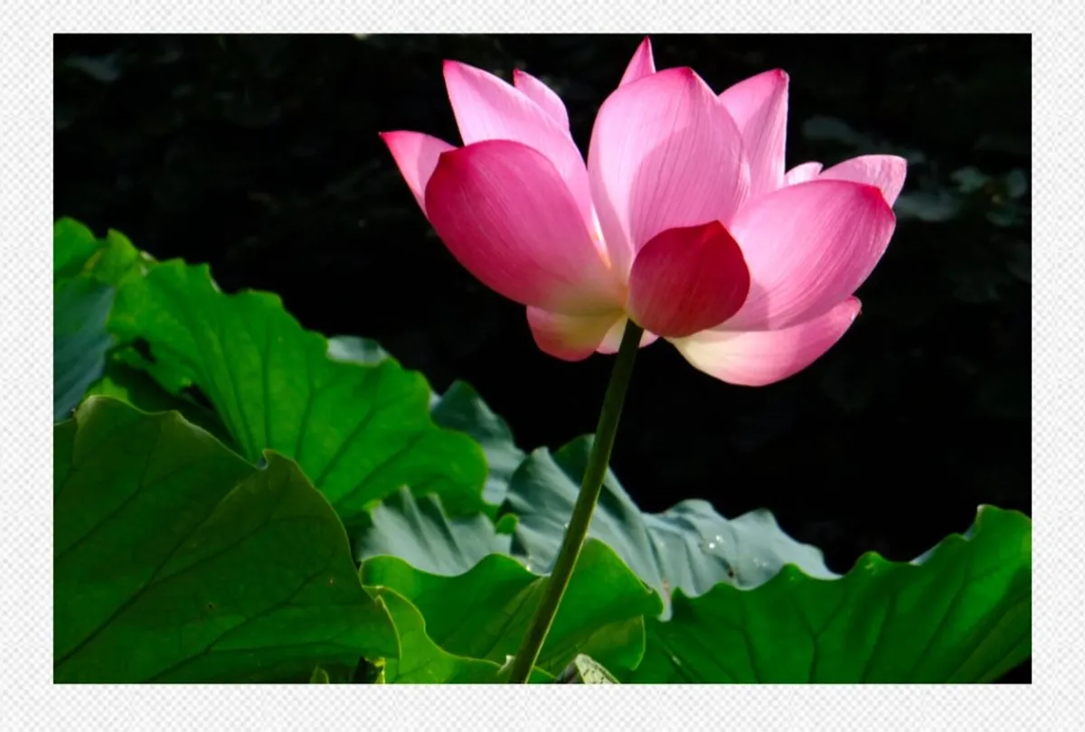 Fujifilm F300EXR SuperCCD🌈compact 📸 Film sims🎞️ - Image 3