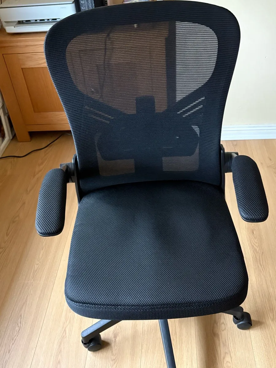 Elfordson Ergonomic Office Chair - Image 1