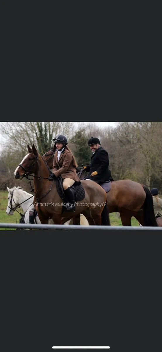 ⭐️TIH allrounder mare⭐️ - Image 4