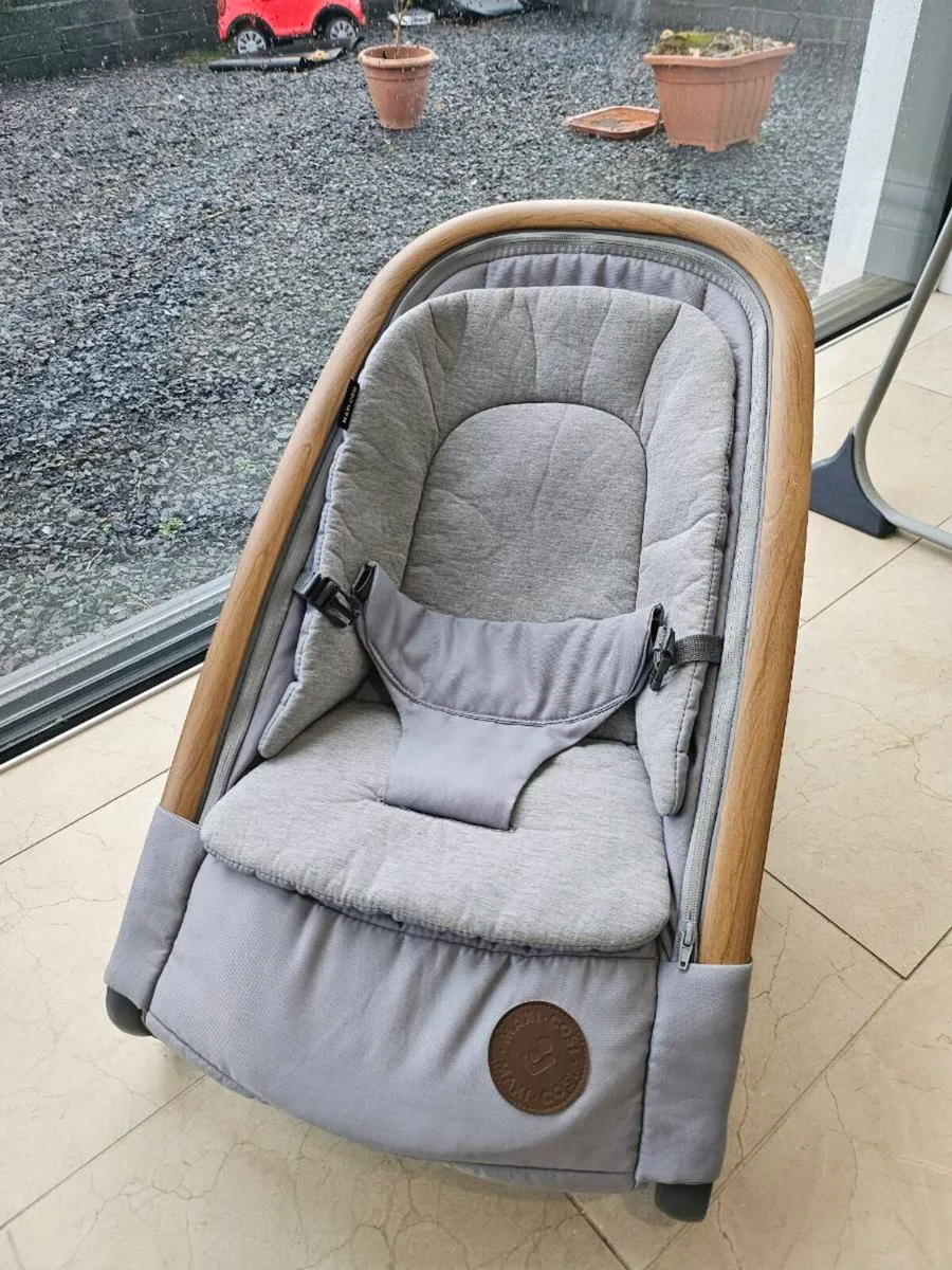 Baby Bouncer - Image 1