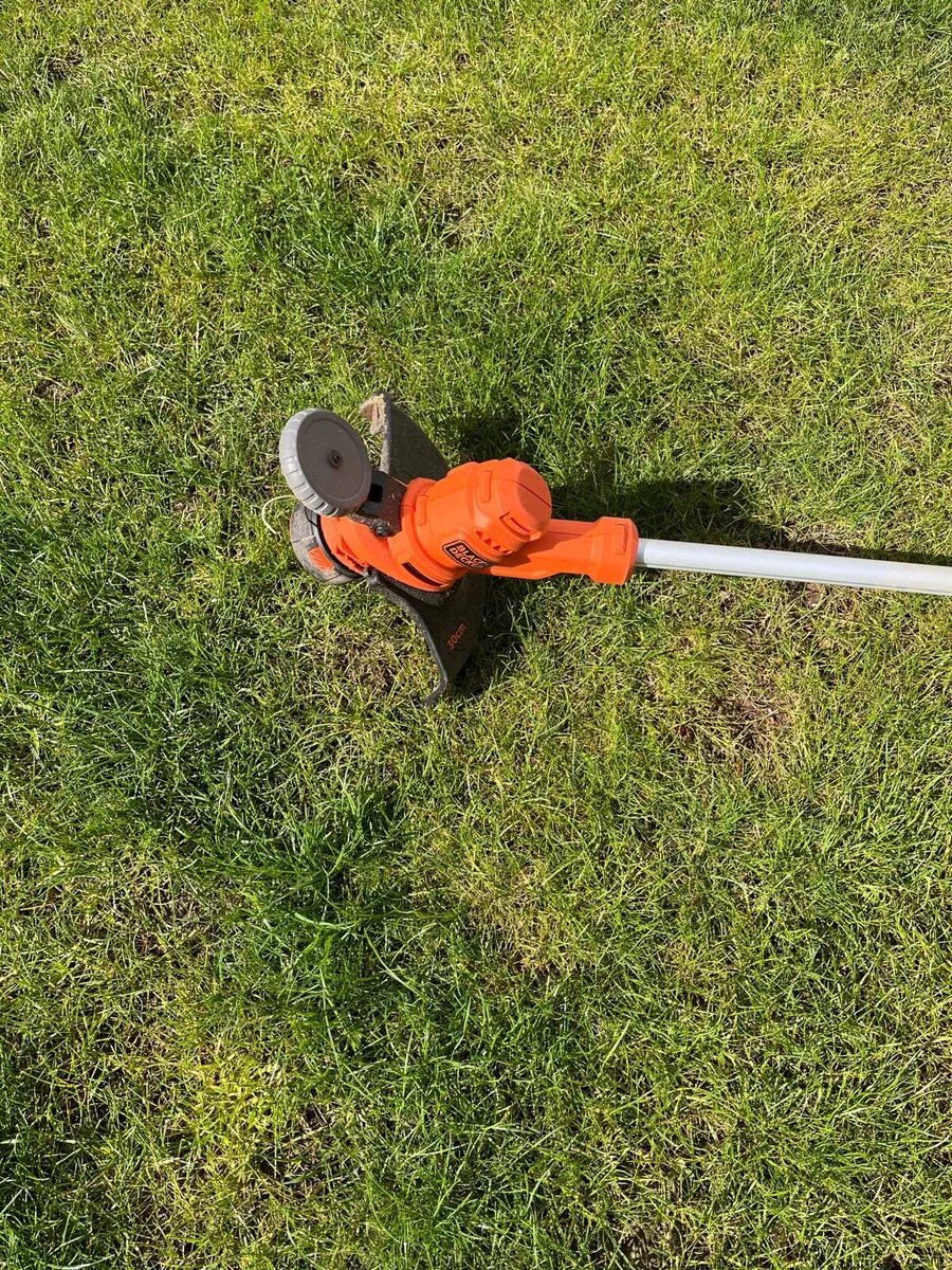 Electric Strimmers - Image 2