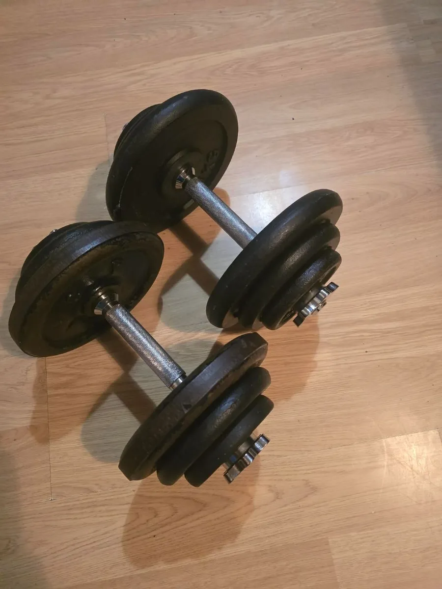 Dumbbells 2×20kg - Image 2