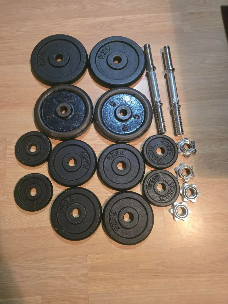 Dumbbells 2×20kg - Image 1