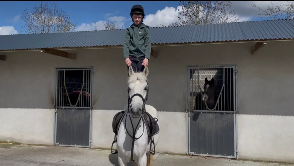 Susie 🦄 - Image 1