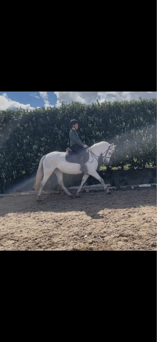 Susie 🦄 - Image 2