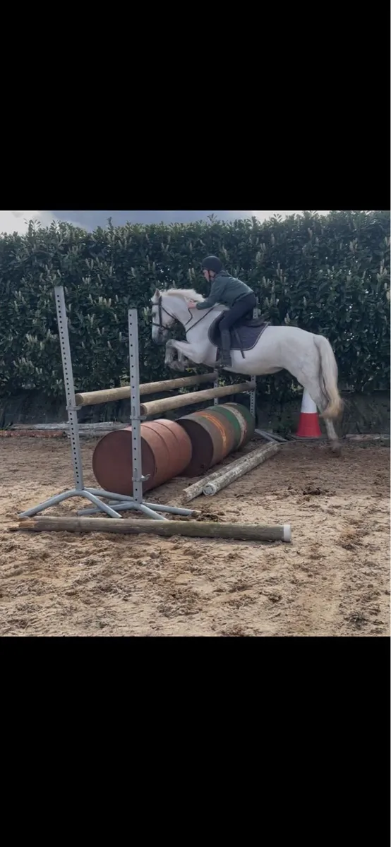 Susie 🦄 - Image 3