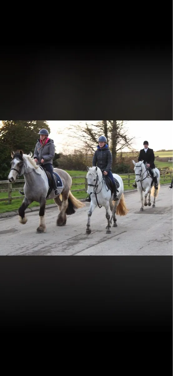 Susie 🦄 - Image 4