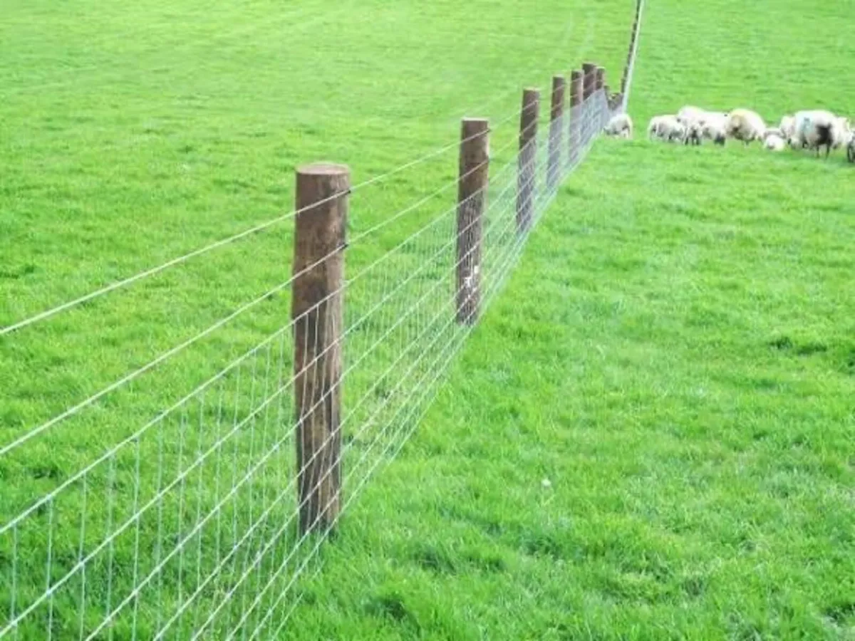 Fencing contractor - Image 1