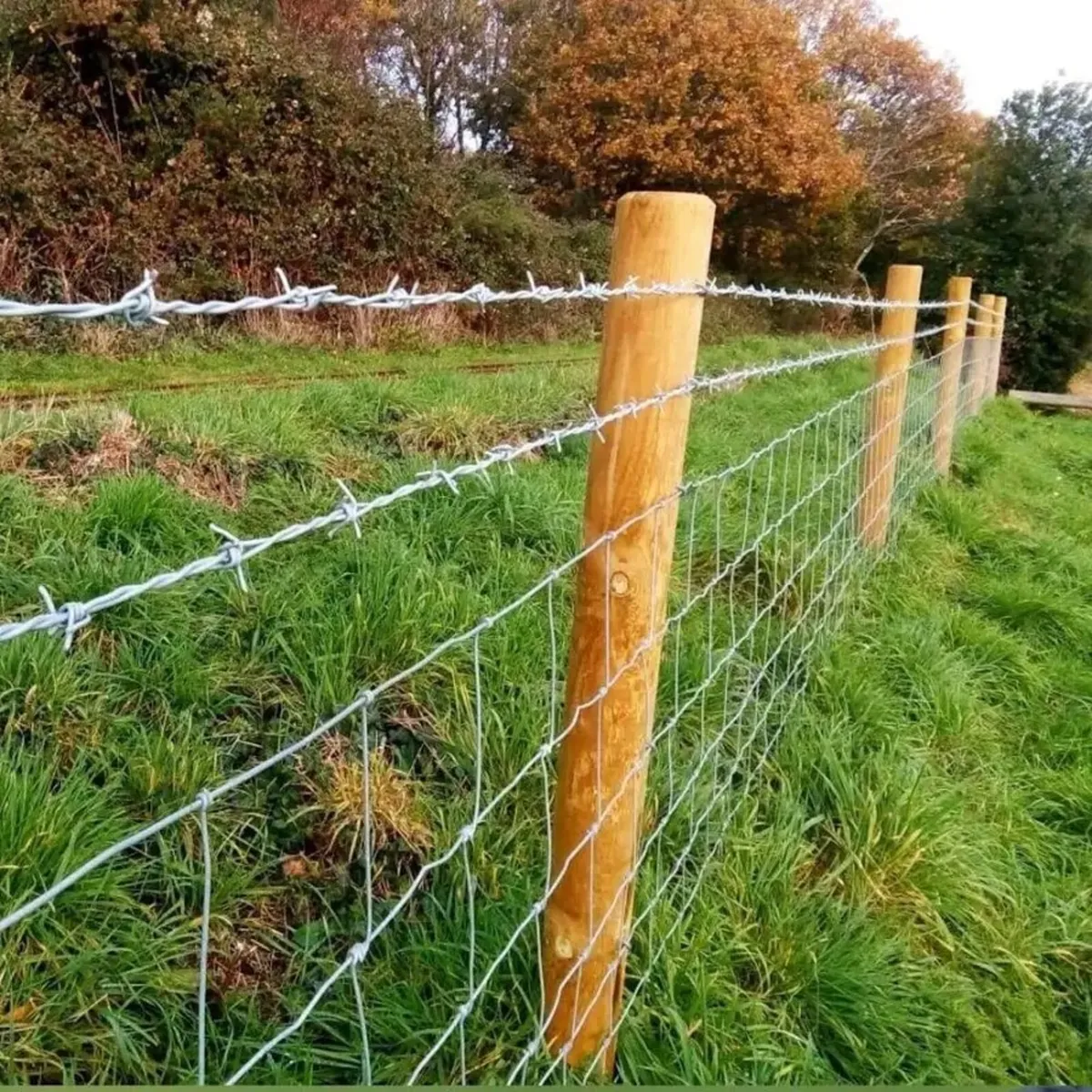 Fencing contractor - Image 2