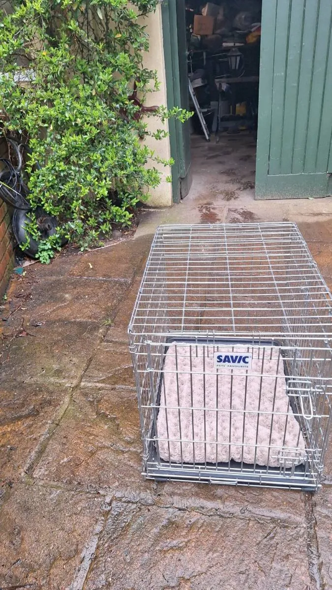 Dog Box/Crate - Image 1