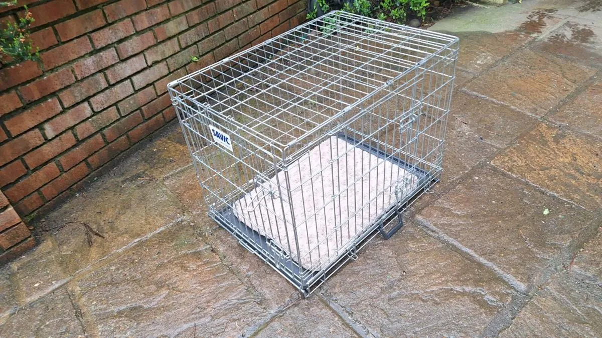 Dog Box/Crate - Image 2