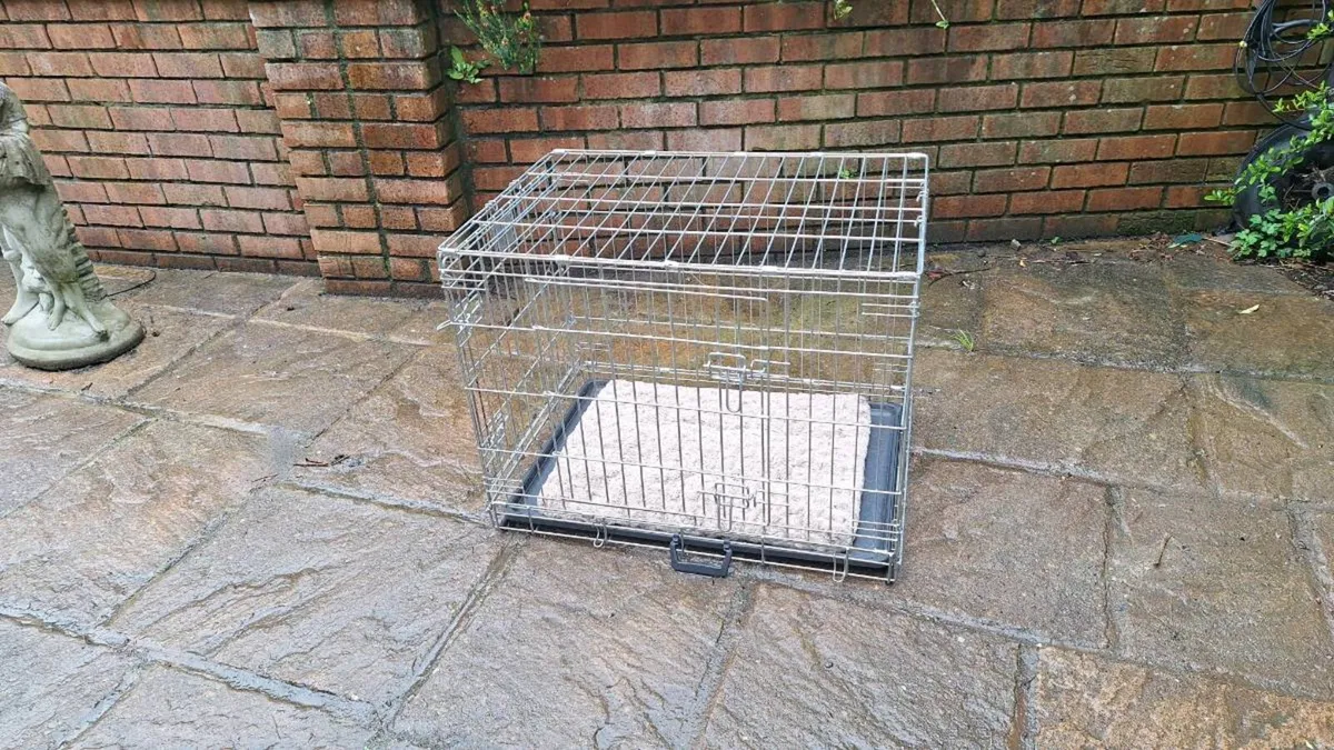 Dog Box/Crate - Image 3