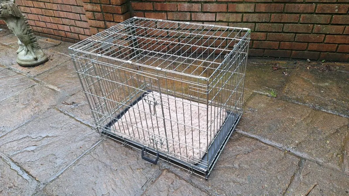 Dog Box/Crate - Image 4