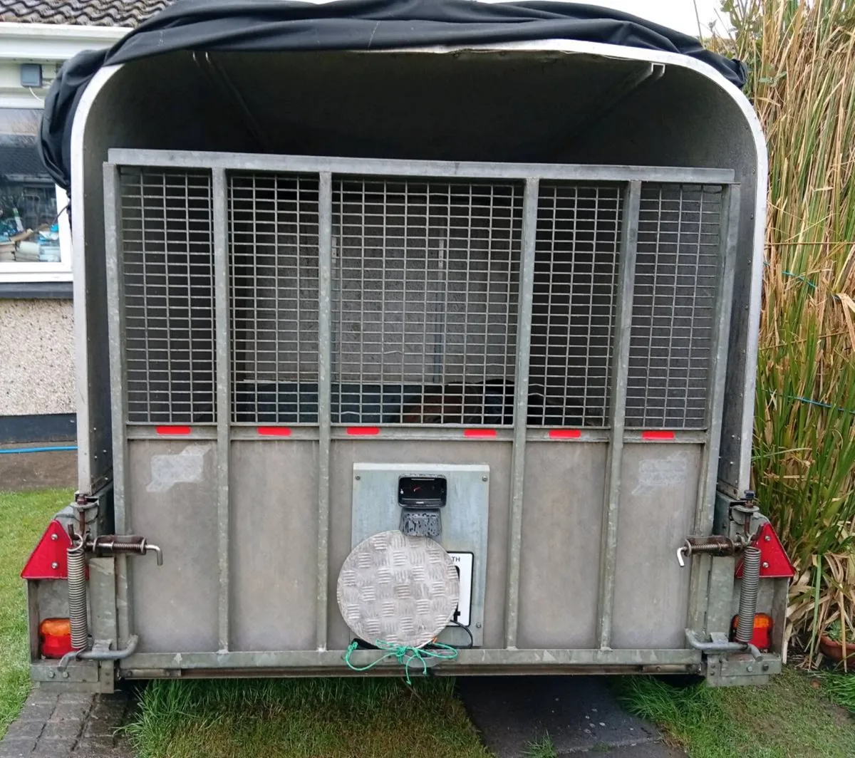 Ifor Williams Twin Axle Trailer - Image 2
