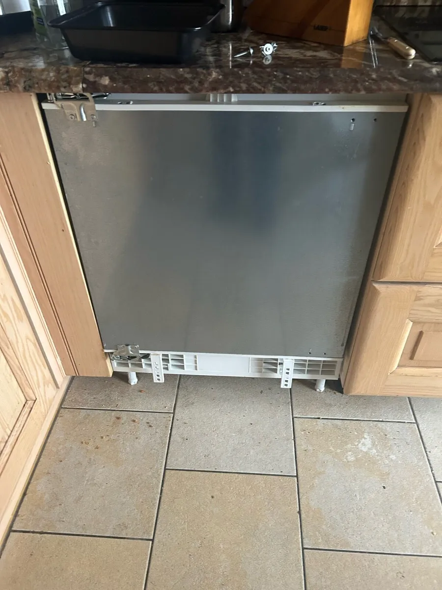 Frozen and fridge - Image 1