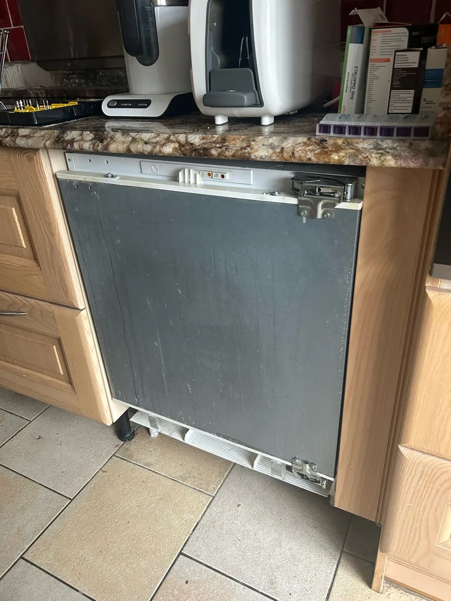 Frozen and fridge - Image 3