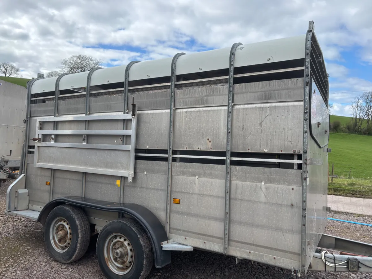 Hudson 12ft cattle / sheep trailer - Image 2