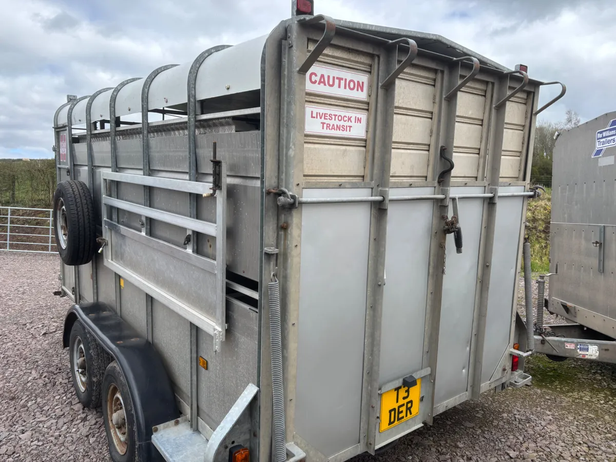 Hudson 12ft cattle / sheep trailer - Image 4