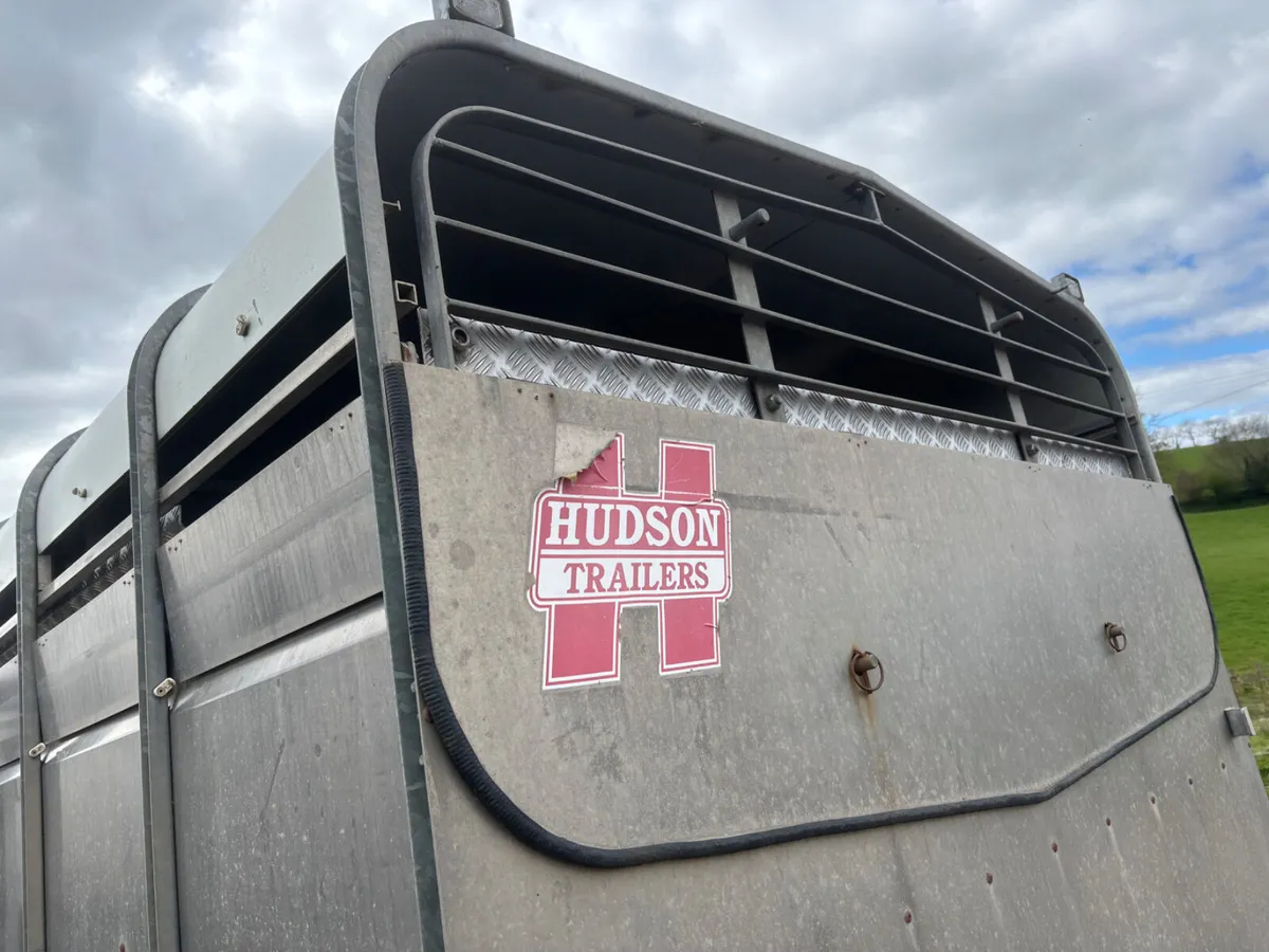 Hudson 12ft cattle / sheep trailer - Image 3