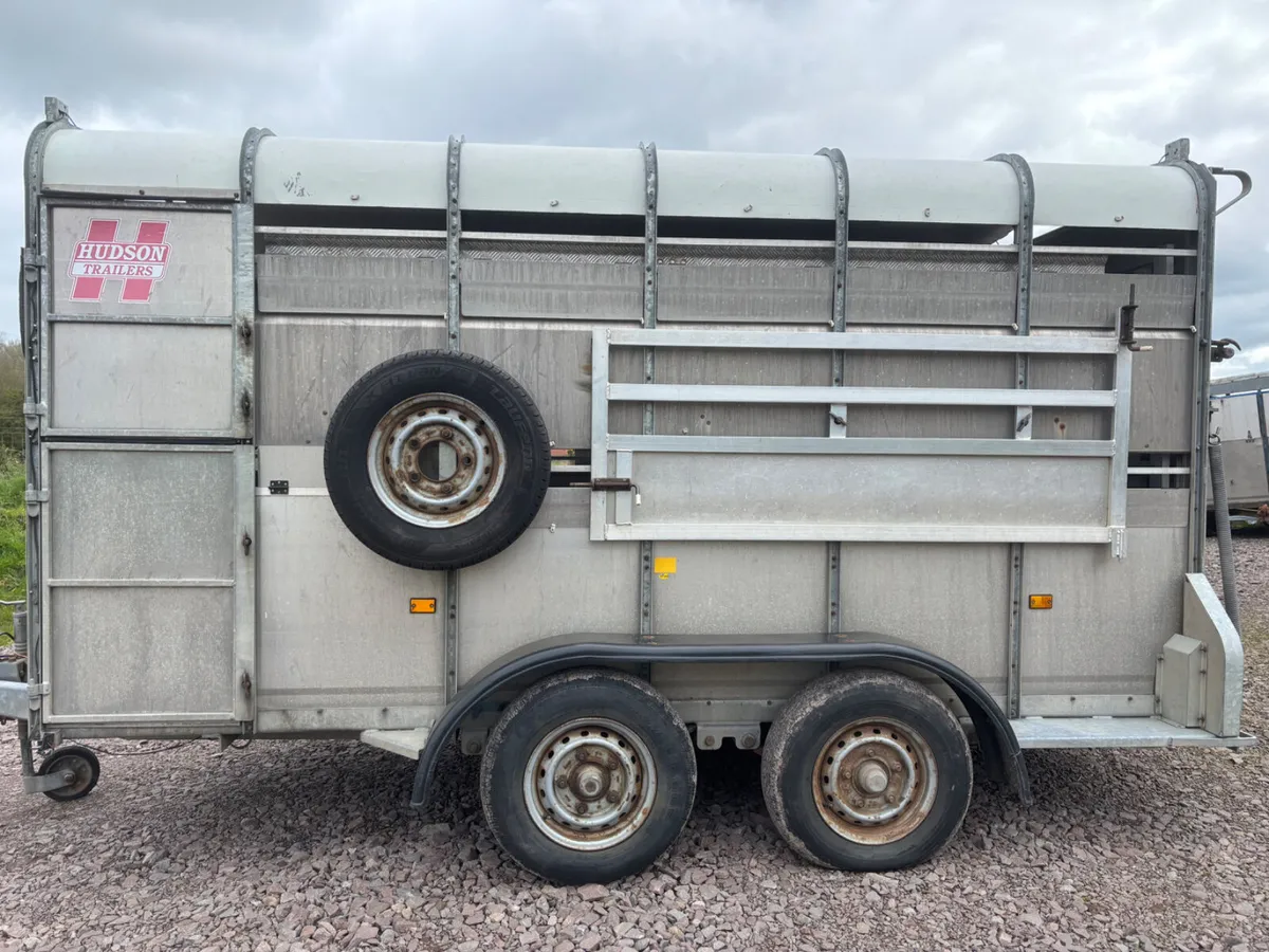 Hudson 12ft cattle / sheep trailer - Image 1