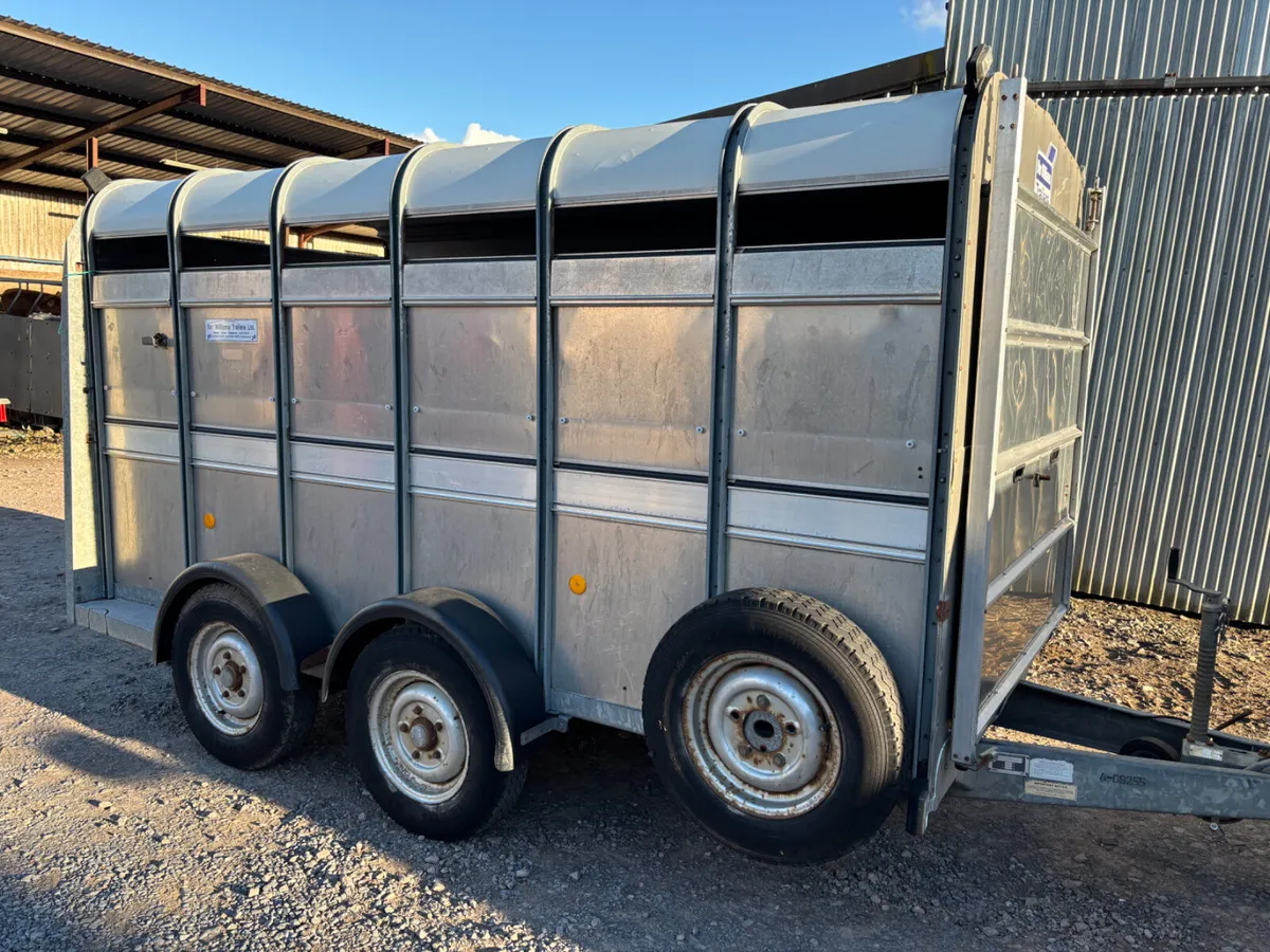 Ifor williams 12ft x 6ft cattle trailer - Image 1