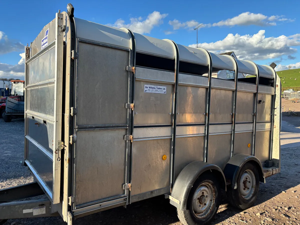 Ifor williams 12ft x 6ft cattle trailer - Image 3