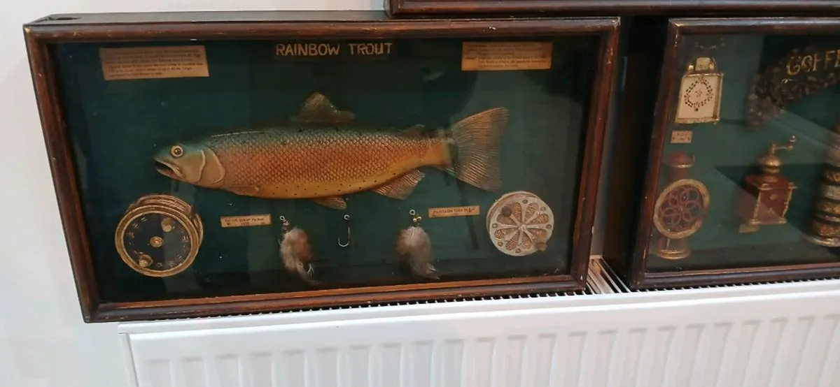 3 box framed pieces - Image 4