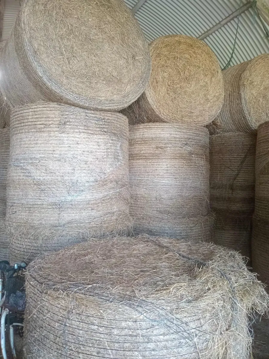 Silage and Hay bales - Image 1