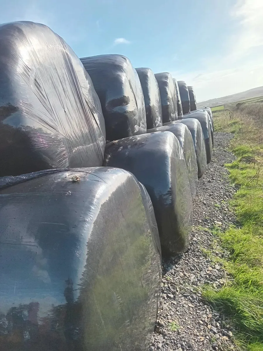 Silage and Hay bales - Image 2