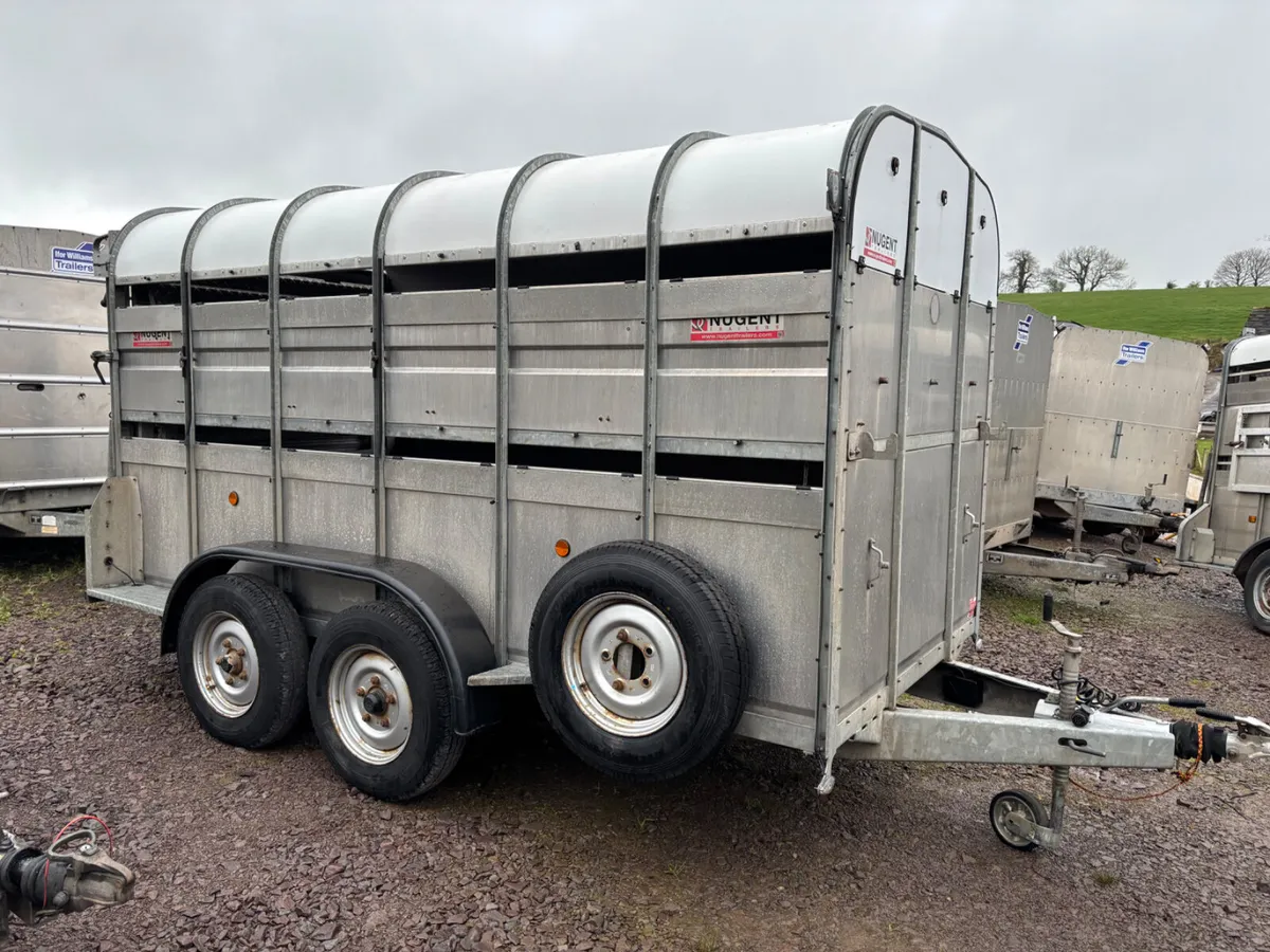 Nugent 12ft x 6ft cattle trailer/ sheep trailer - Image 1