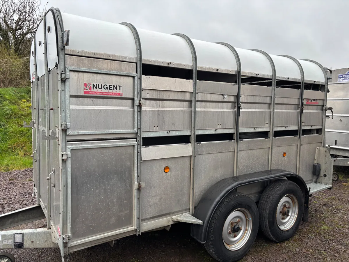 Nugent 12ft x 6ft cattle trailer/ sheep trailer - Image 3
