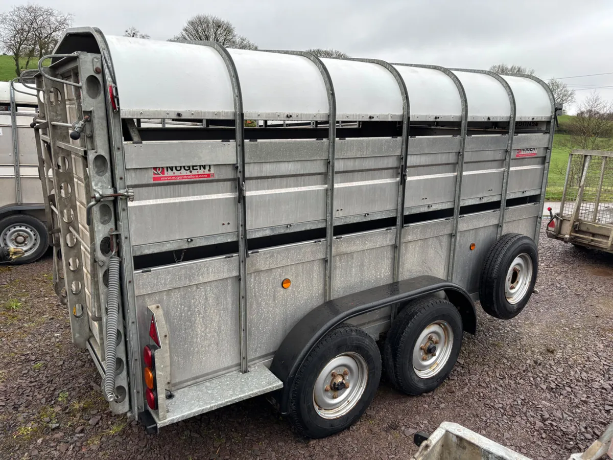 Nugent 12ft x 6ft cattle trailer/ sheep trailer - Image 4