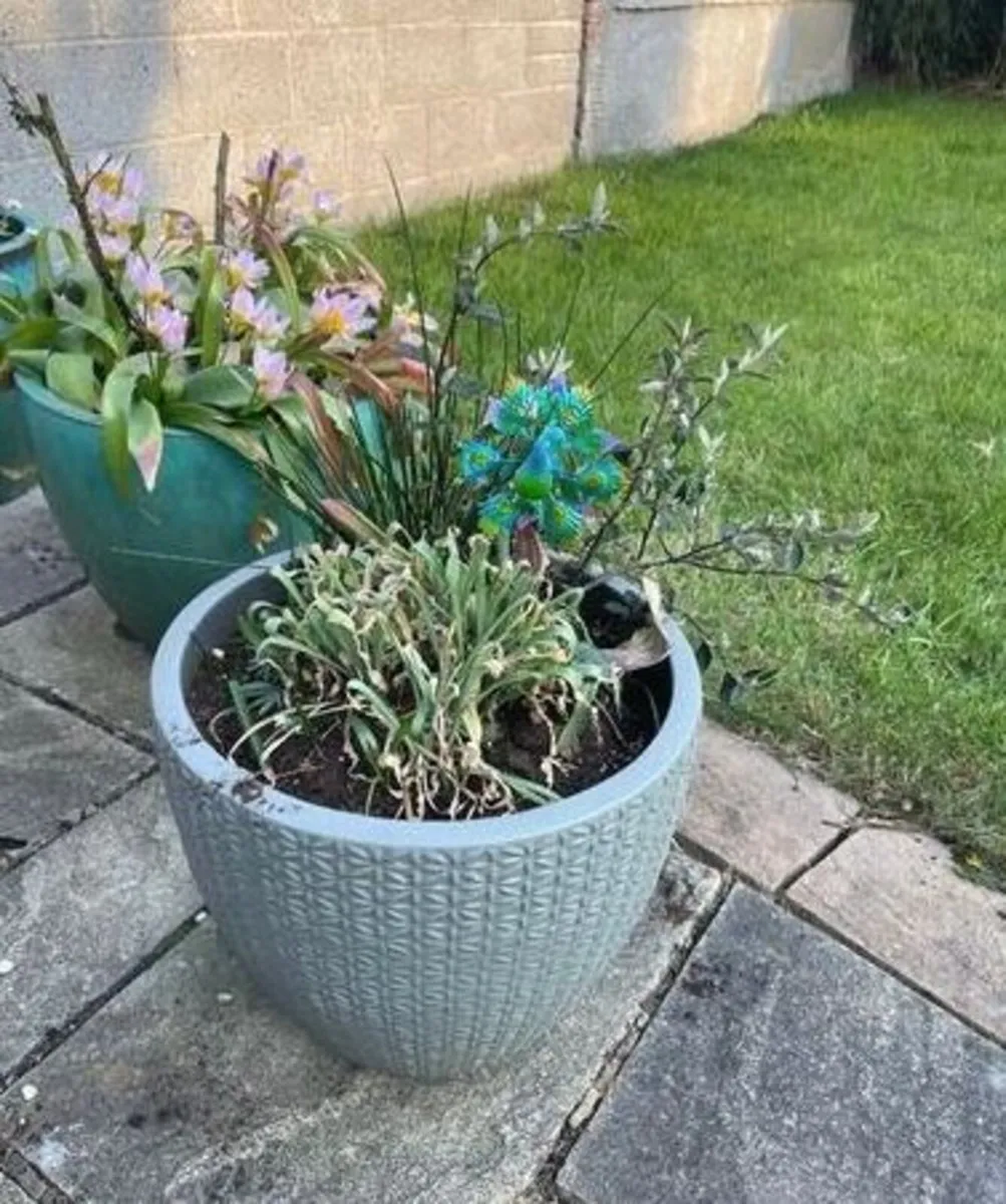 Medium Grey Earthenware Flower Pot - Image 3