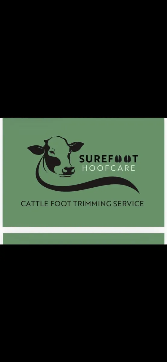 Hoof Trimming/ Hoof Care