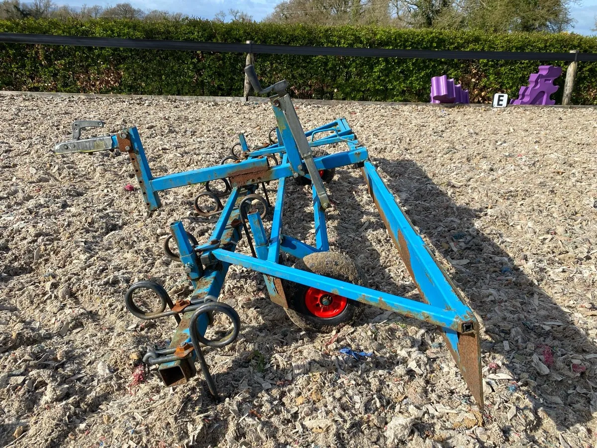 Arena Harrow - Image 1