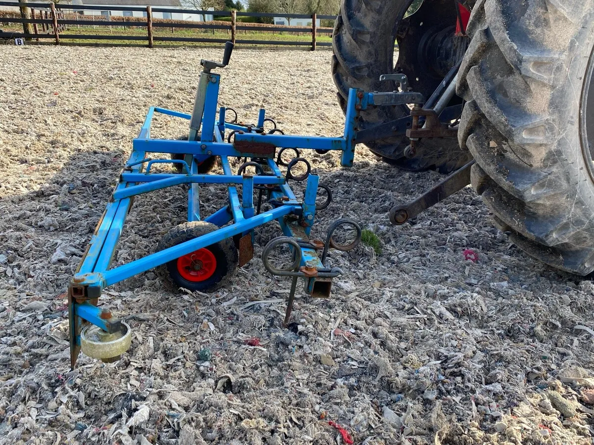 Arena Harrow - Image 3