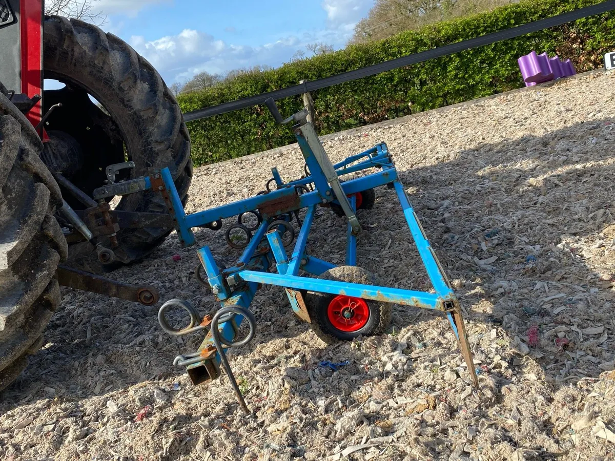 Arena Harrow - Image 4