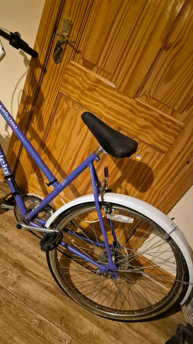 Classic vintage raleigh junior Kids bike - Image 3