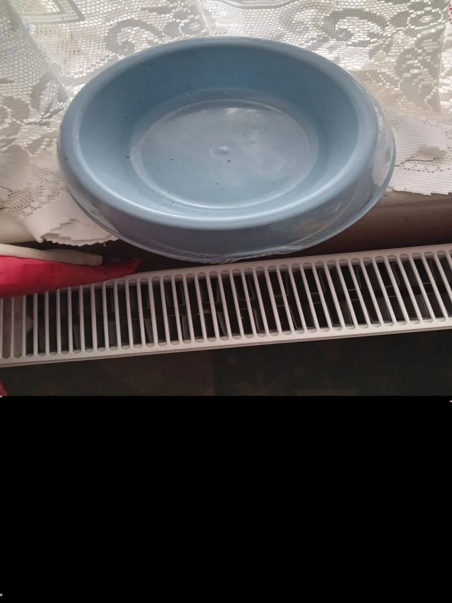 Items for sale dog dish bread bin and kettle - Image 1