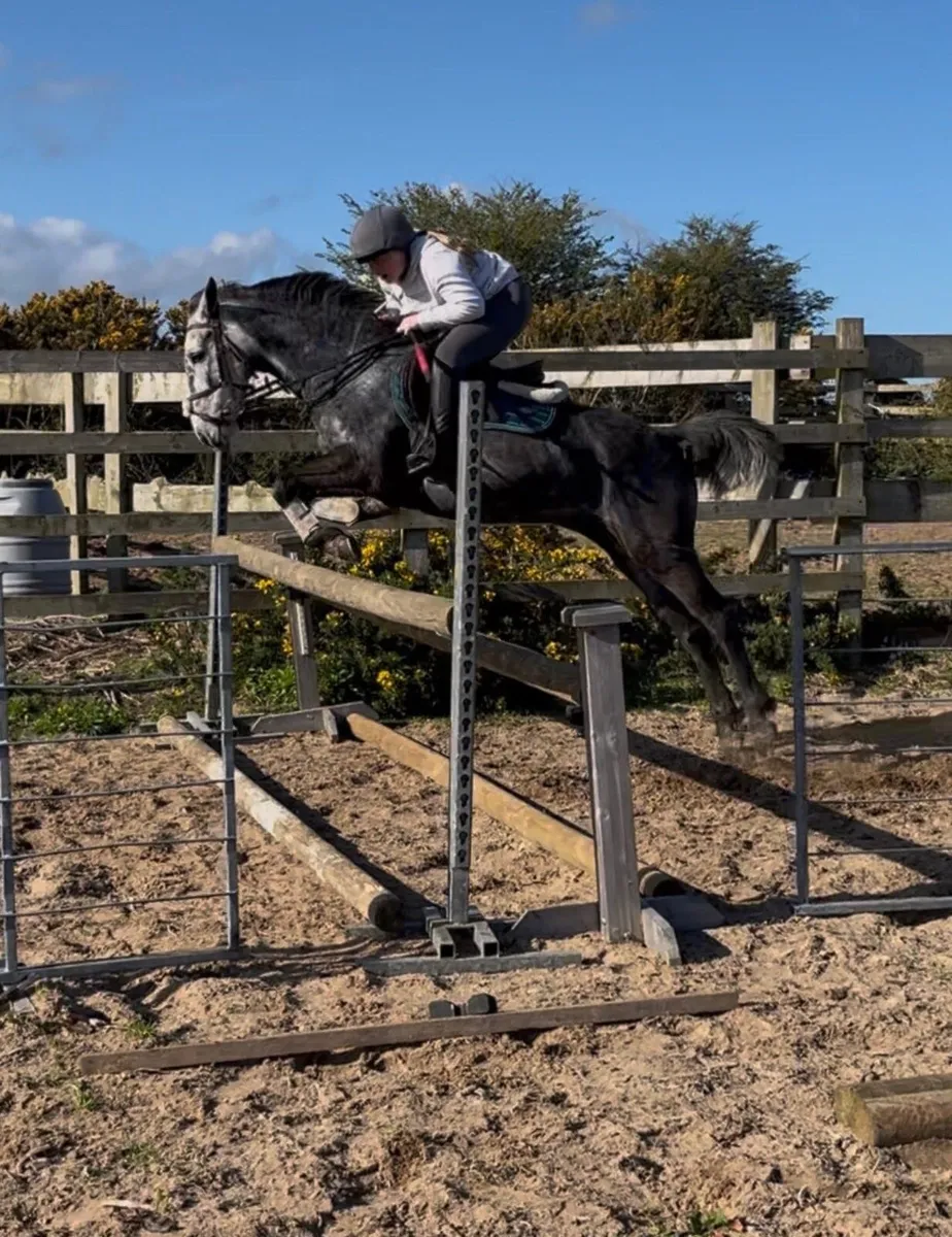 ⭐amazing pony⭐ - Image 2