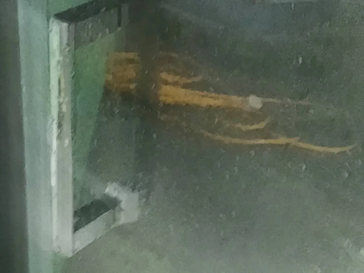 Shower door s chroms hands and surrounding - Image 4