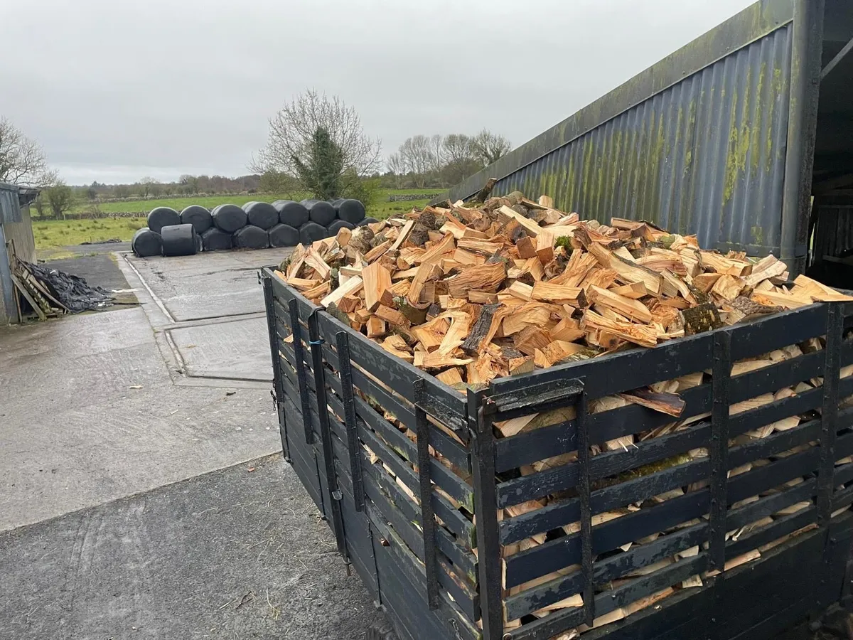 Firewood for sale - Image 3