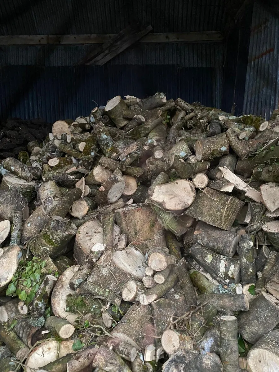 Firewood for sale - Image 4