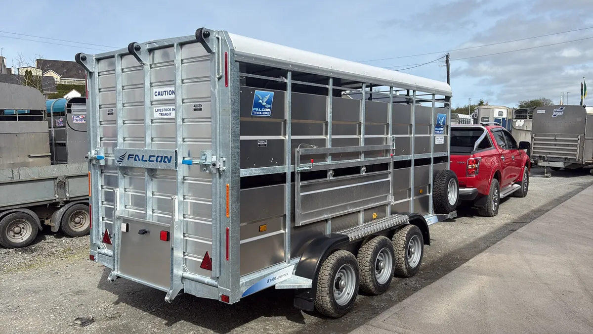 New Falcon 14x6 Tri Axle With Decks - Image 3