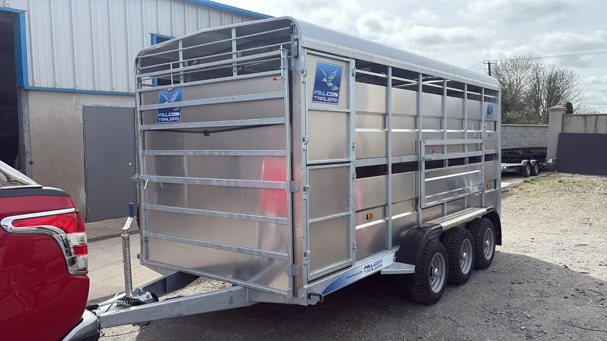 New Falcon 14x6 Tri Axle With Decks - Image 2