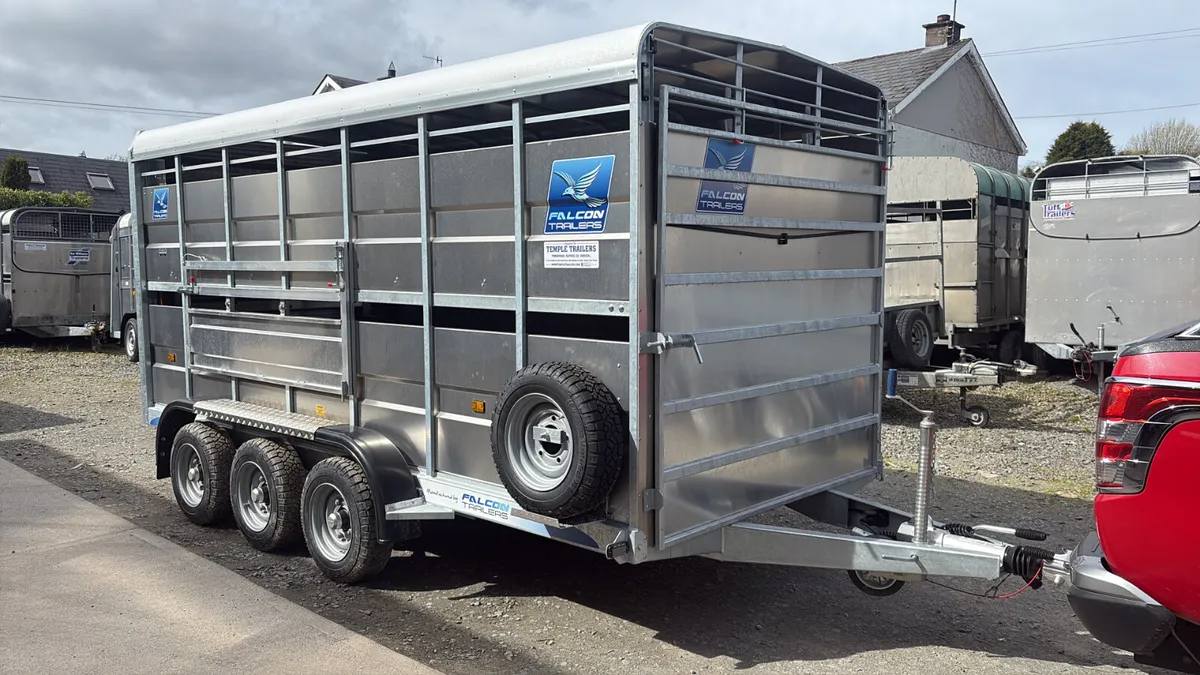 New Falcon 14x6 Tri Axle With Decks - Image 4