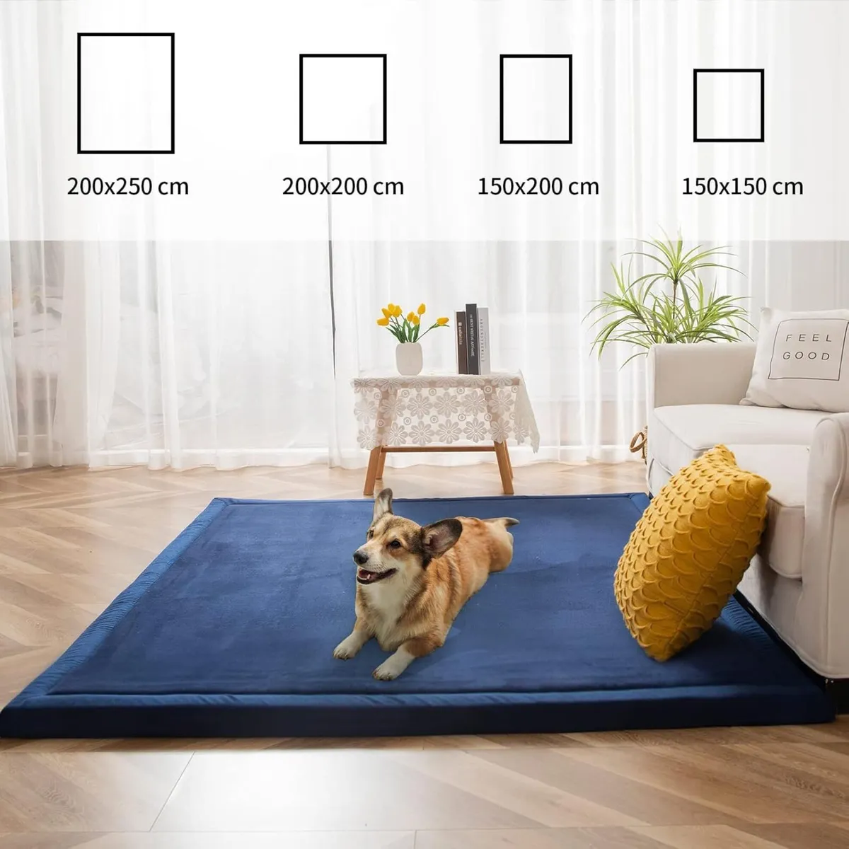 Coral Velvet Rug 3cm Thick Crawling Carpet with - Image 4