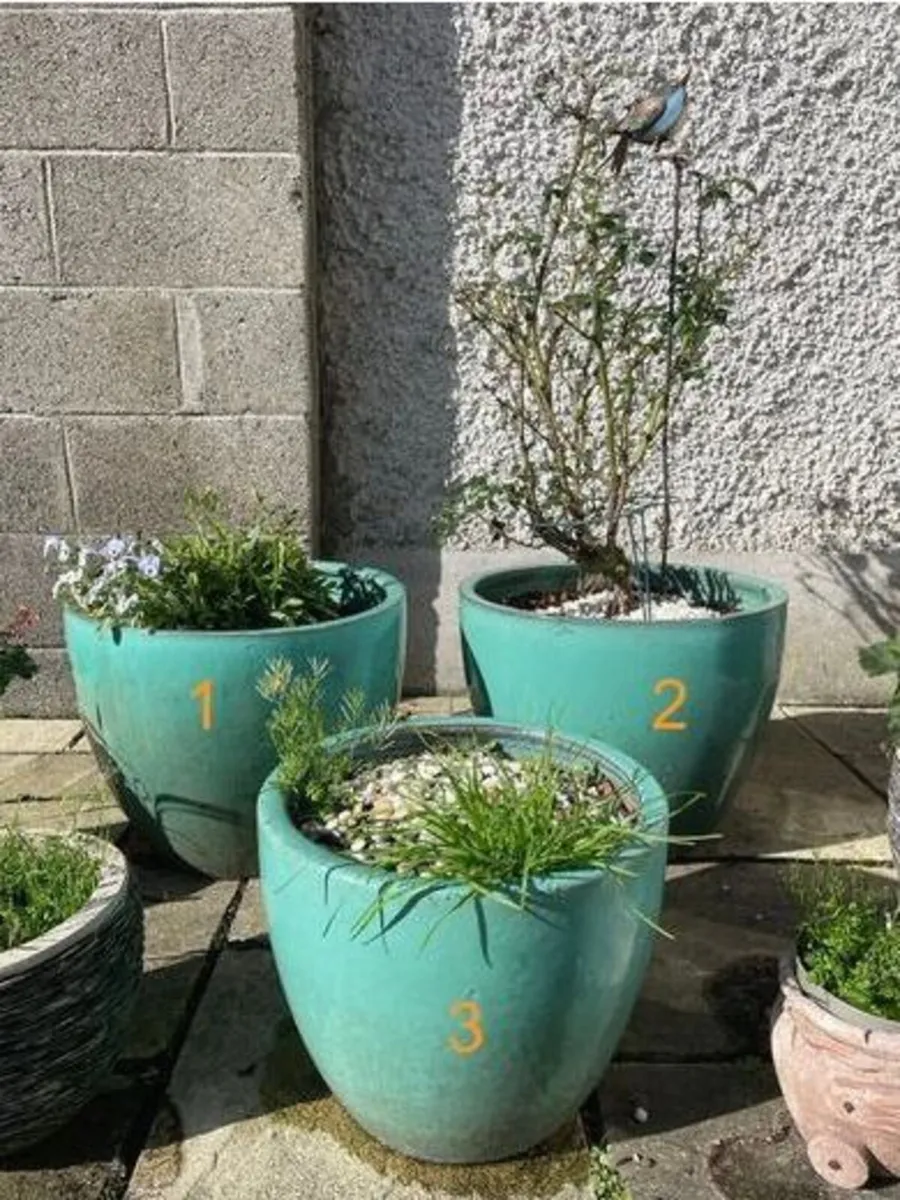 Large/Medium Glazed Earthenware Egg Flower Pot - Image 2