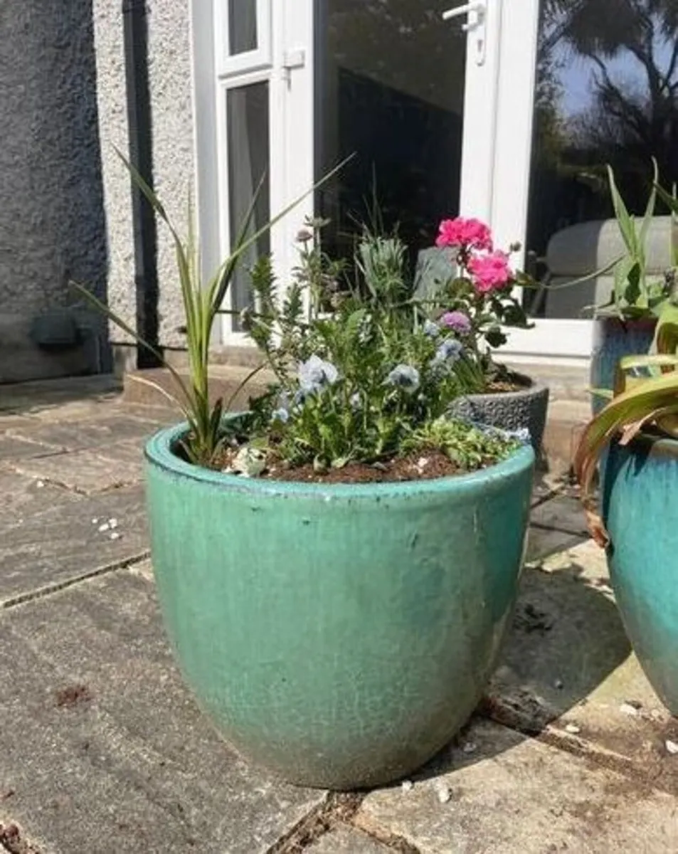 Large/Medium Glazed Earthenware Egg Flower Pot - Image 3