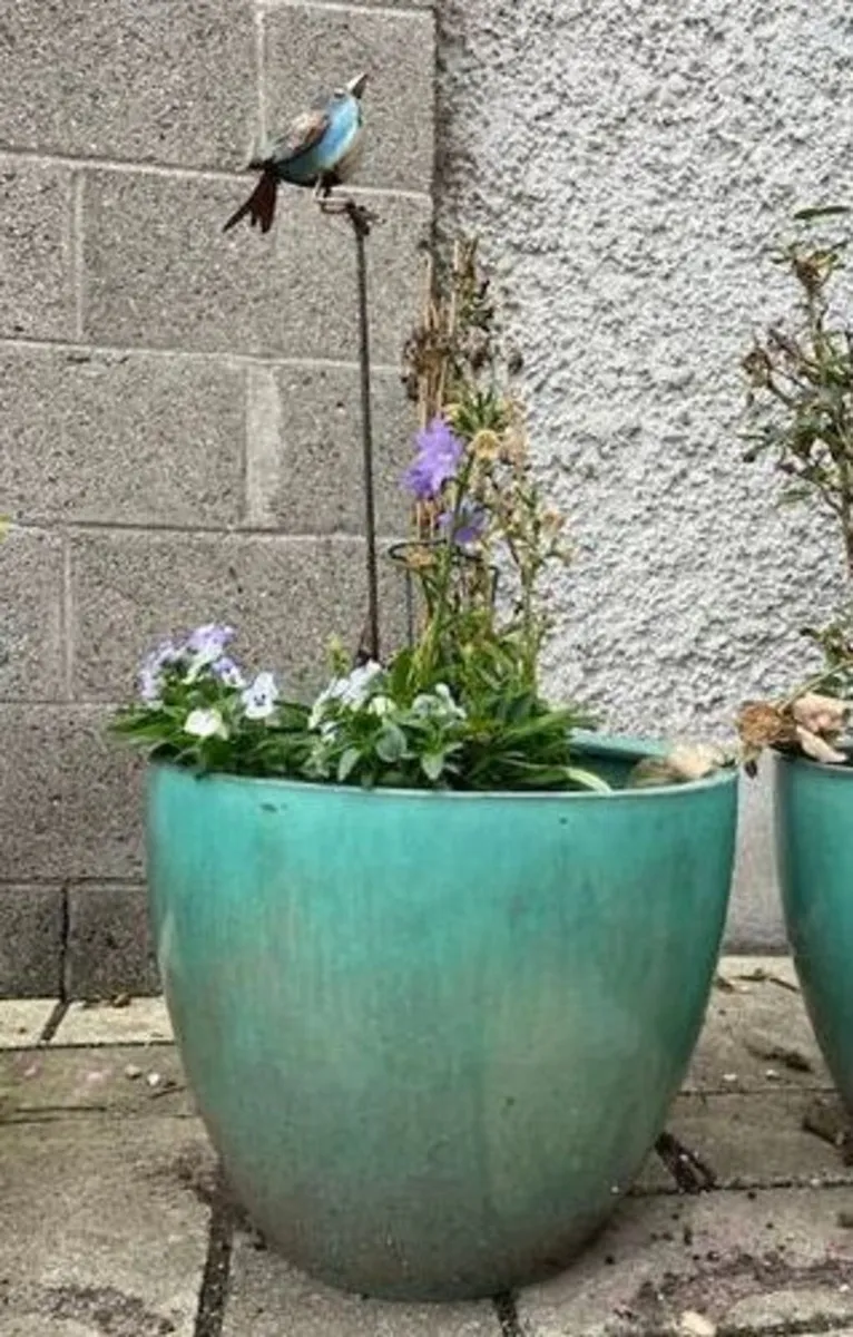 Large/Medium Glazed Earthenware Egg Flower Pot - Image 4